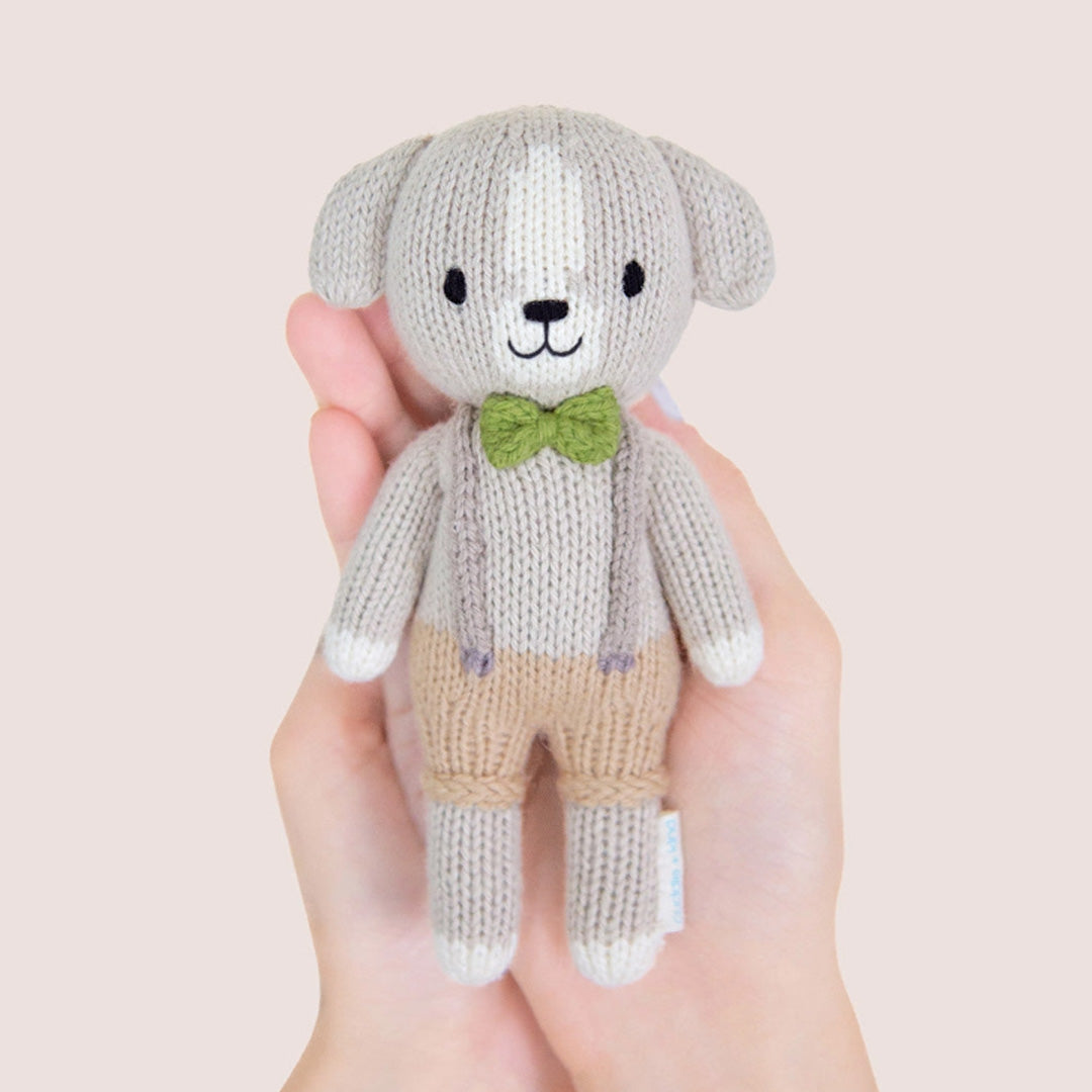 cuddle kind Tiny Noah the Dog