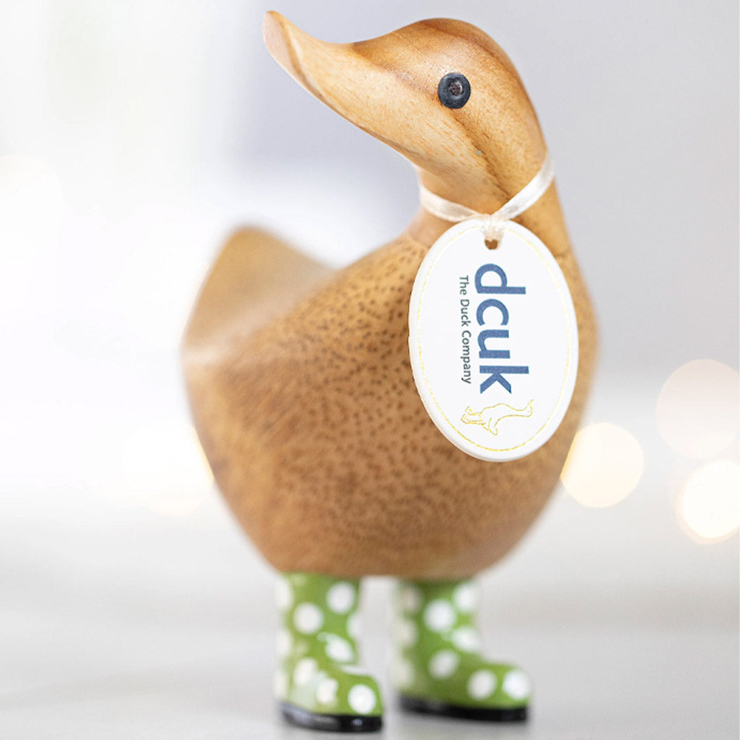 DCUK Spotty Boots Duckys green lifestyle