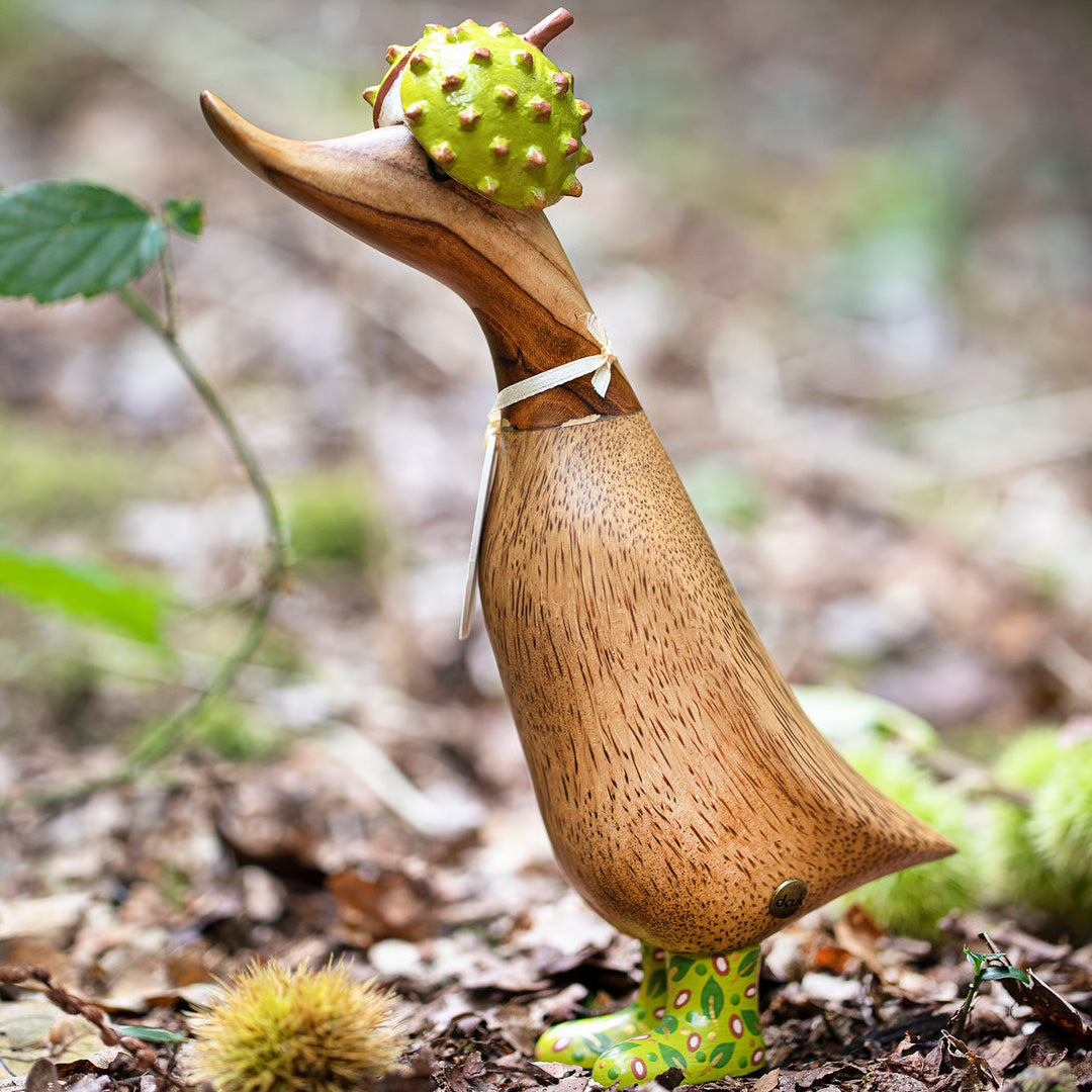 DCUK Woodland Folk Duckling CONKER 8.5" lifestyle 1