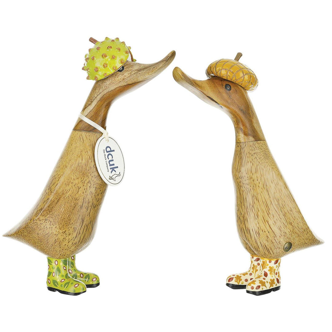 DCUK Woodland Folk Duckling set