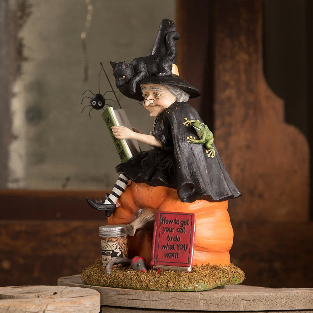 How to Train Your Black Cat Halloween Figurine by Bethany Lowe side lifestyle