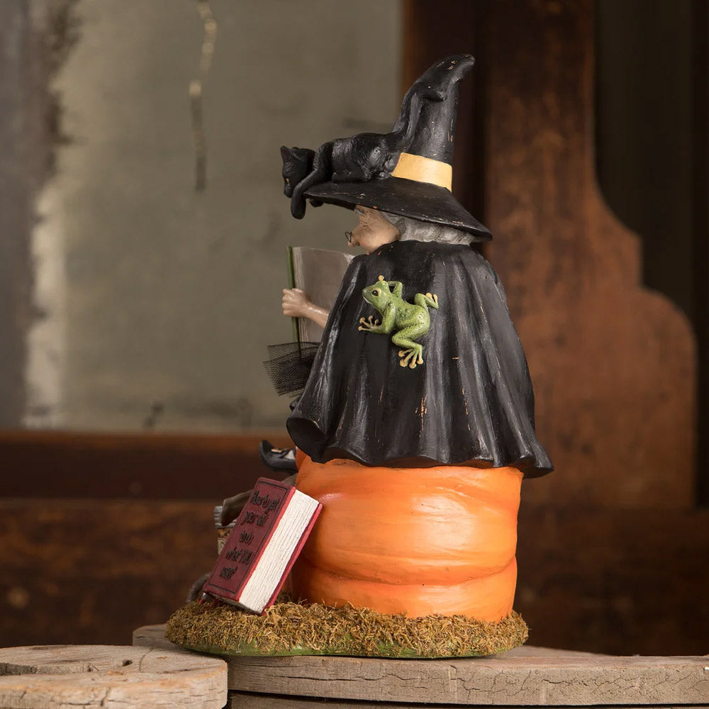 How to Train Your Black Cat Halloween Figurine by Bethany Lowe back lifestyle
