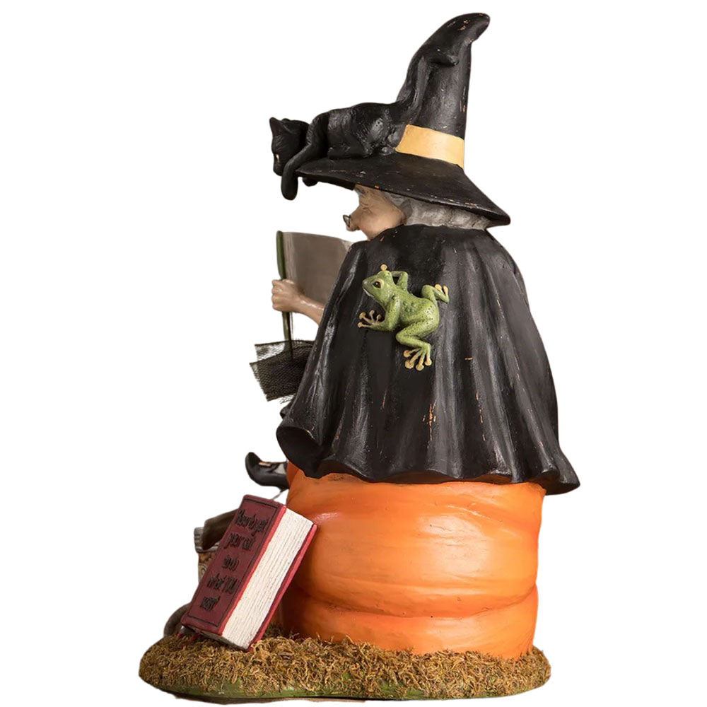 How to Train Your Black Cat Halloween Figurine by Bethany Lowe back