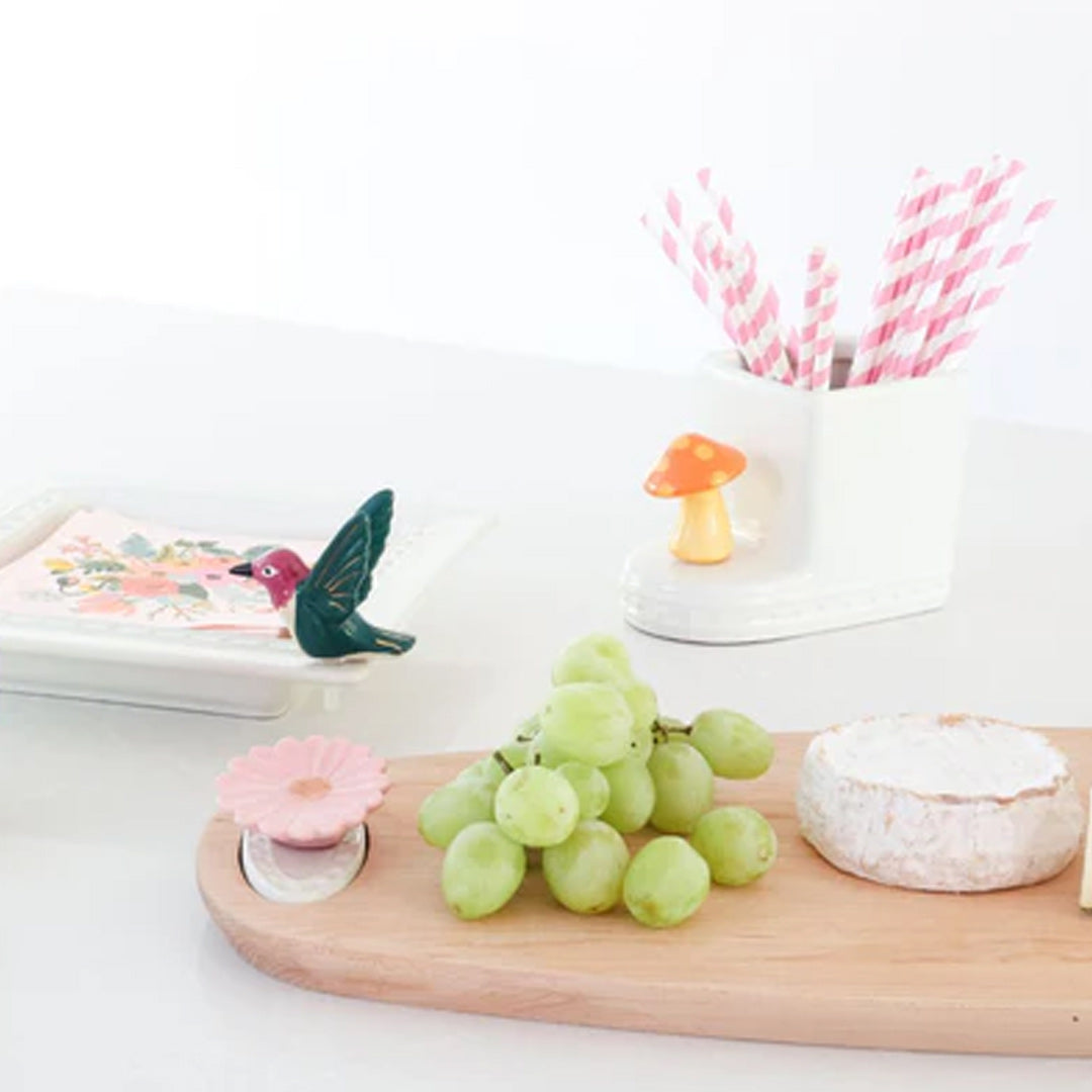 Hummingbird Mini lifestyle