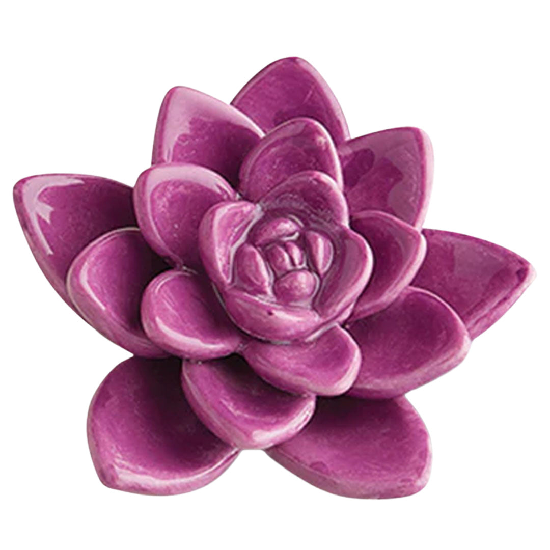 Nora Fleming Succulent Mini