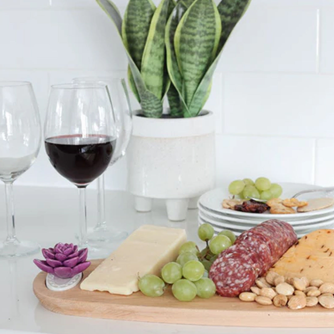 Nora Fleming Succulent Mini lifestyle 1