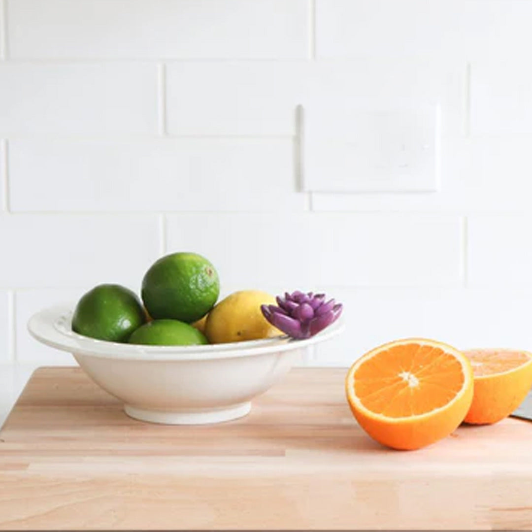 Nora Fleming Succulent Mini lifestyle 2