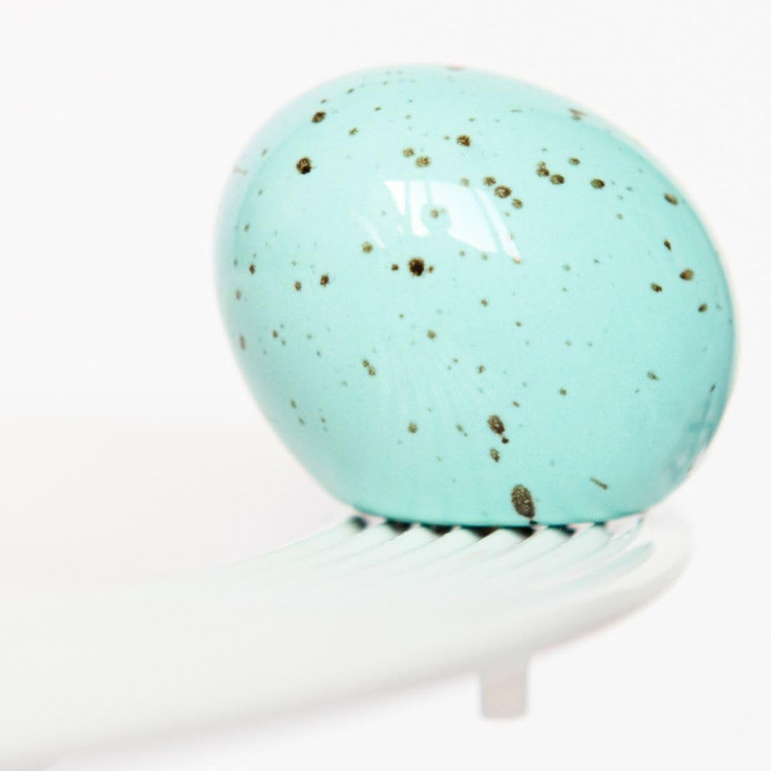 Nora Fleming Eggstra-Ordinary Robins Egg