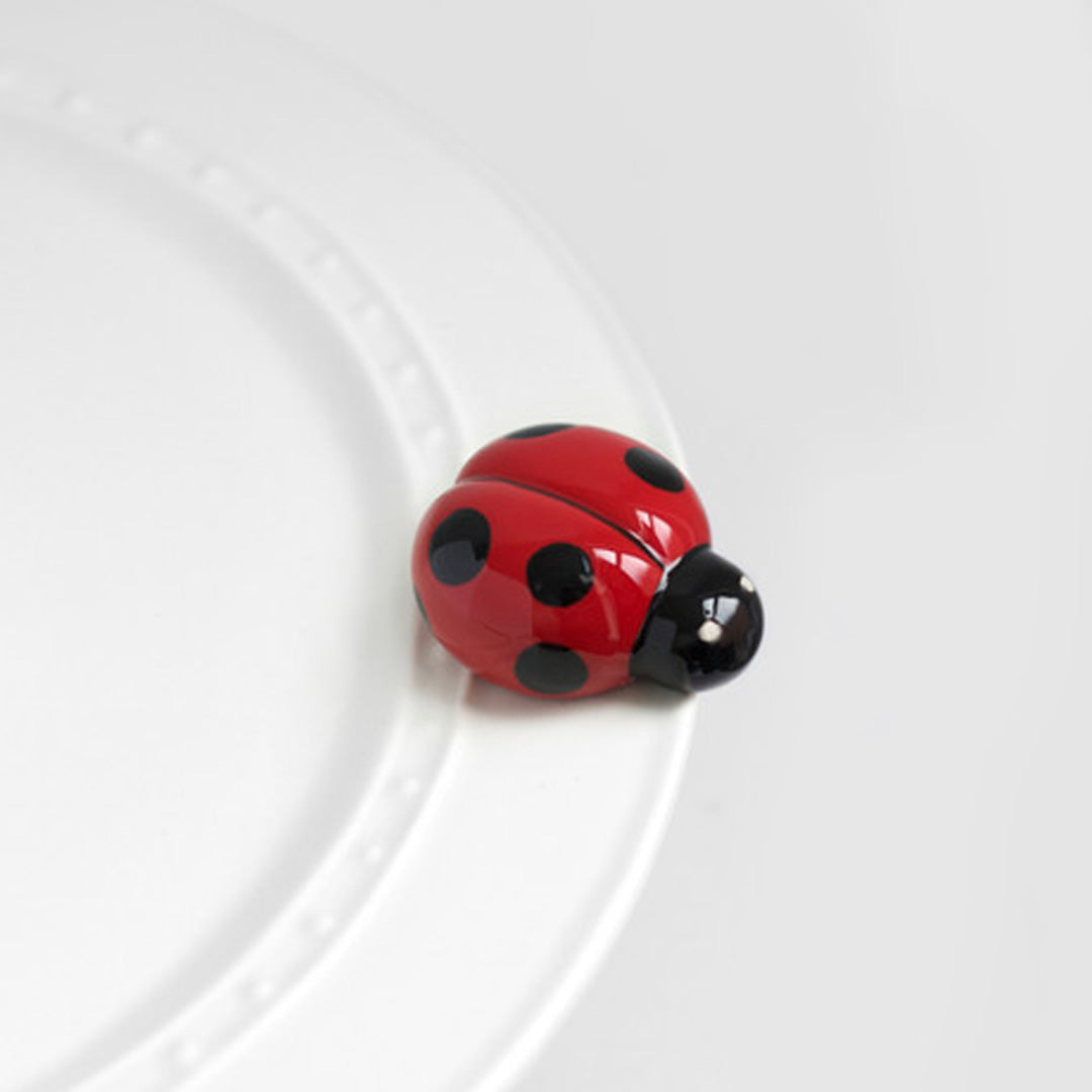 nora fleming ladybug on the plate
