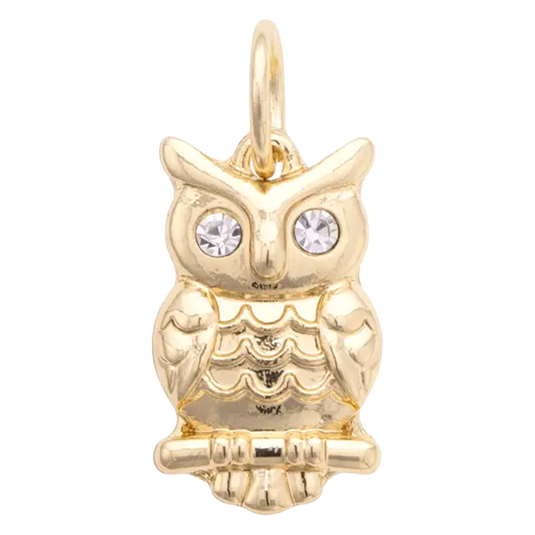 Cuddle Decor Owl Charm