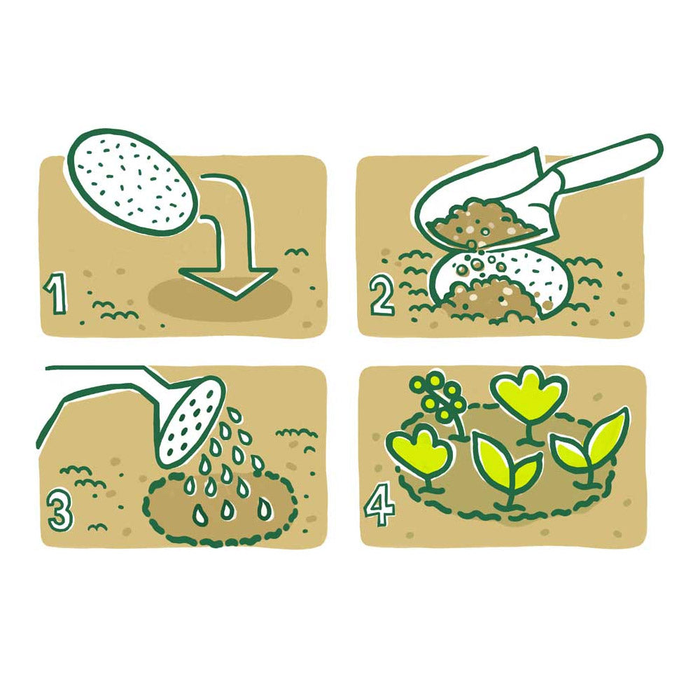 Garden Patch - Growing Kit