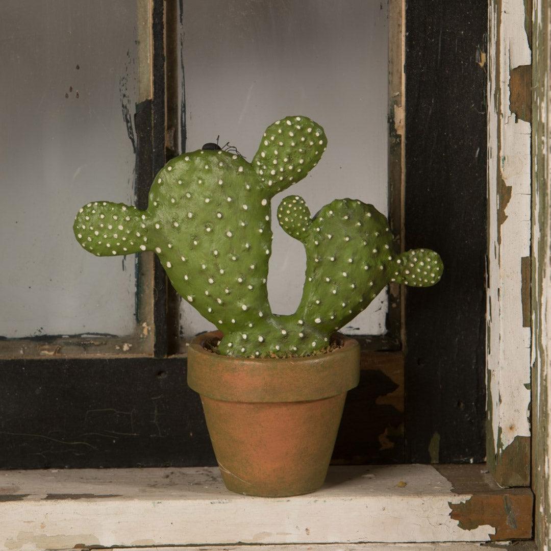 Potted Ghostly Cacti