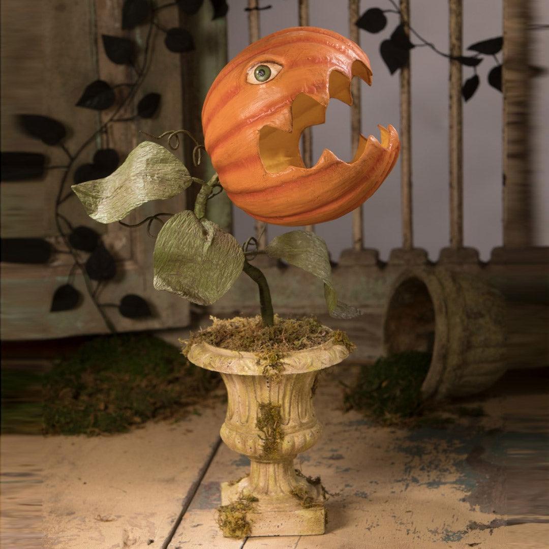 Prickly Pumpkin Plant Large Paper Mache