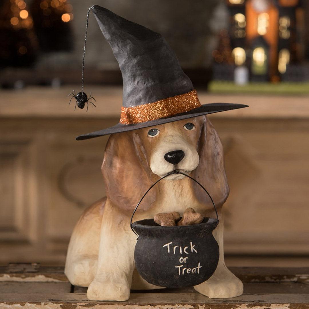 Trick or Treat Dog