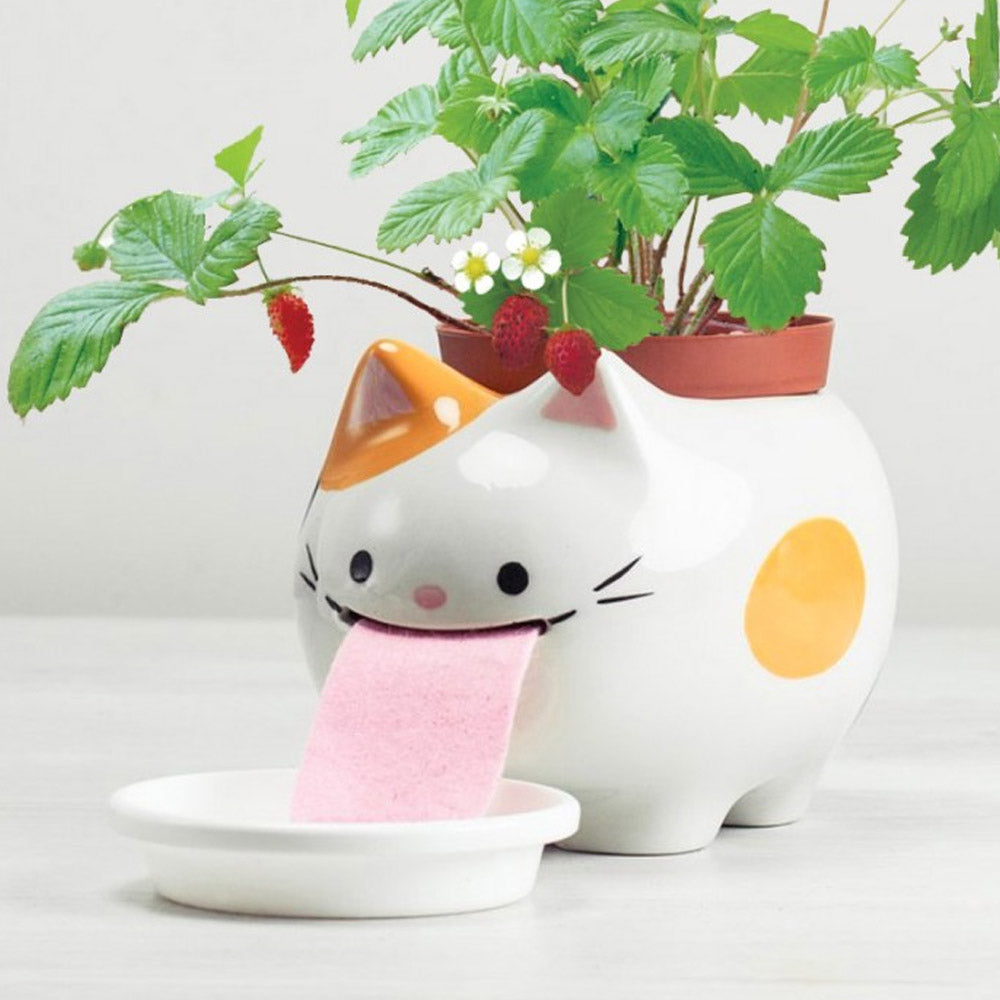 PAPA Peropon Planter Kit Self-Watering Tongue