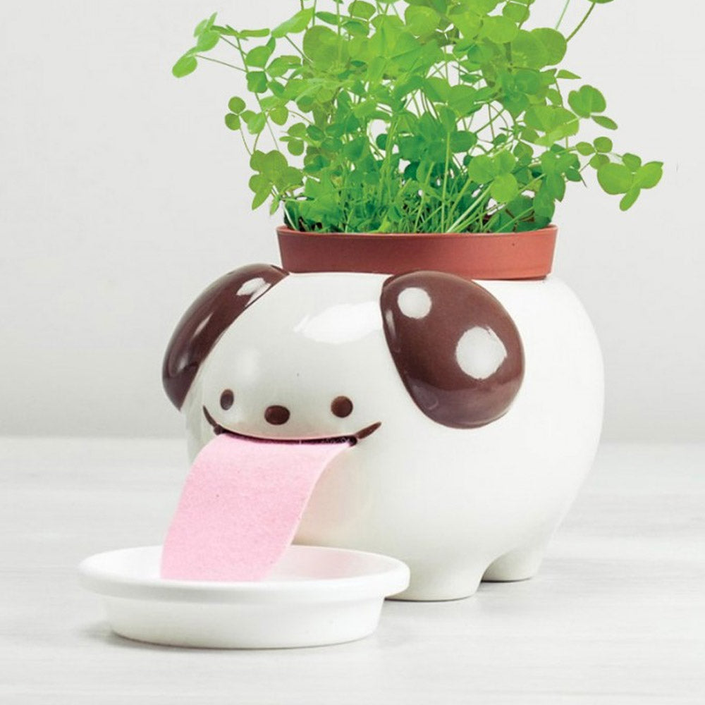 PAPA Peropon Planter Kit Self-Watering Tongue