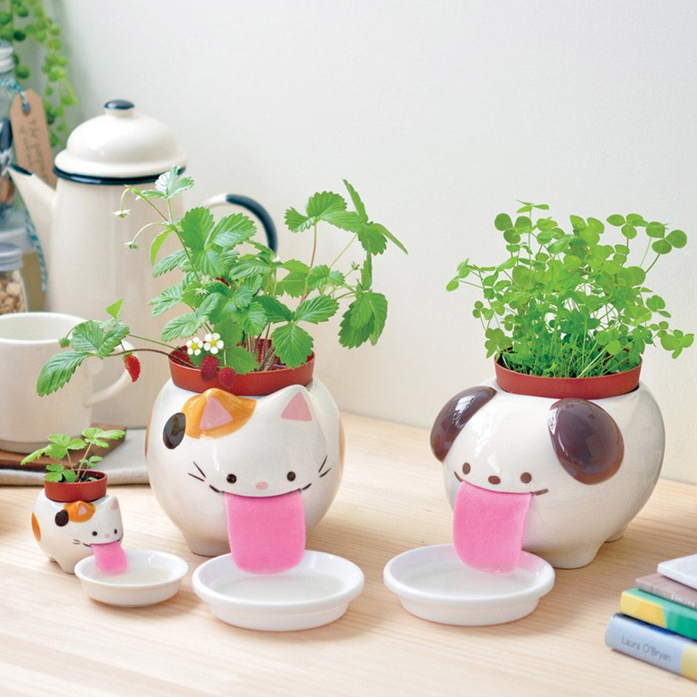 PAPA Peropon Planter Kit Self-Watering Tongue