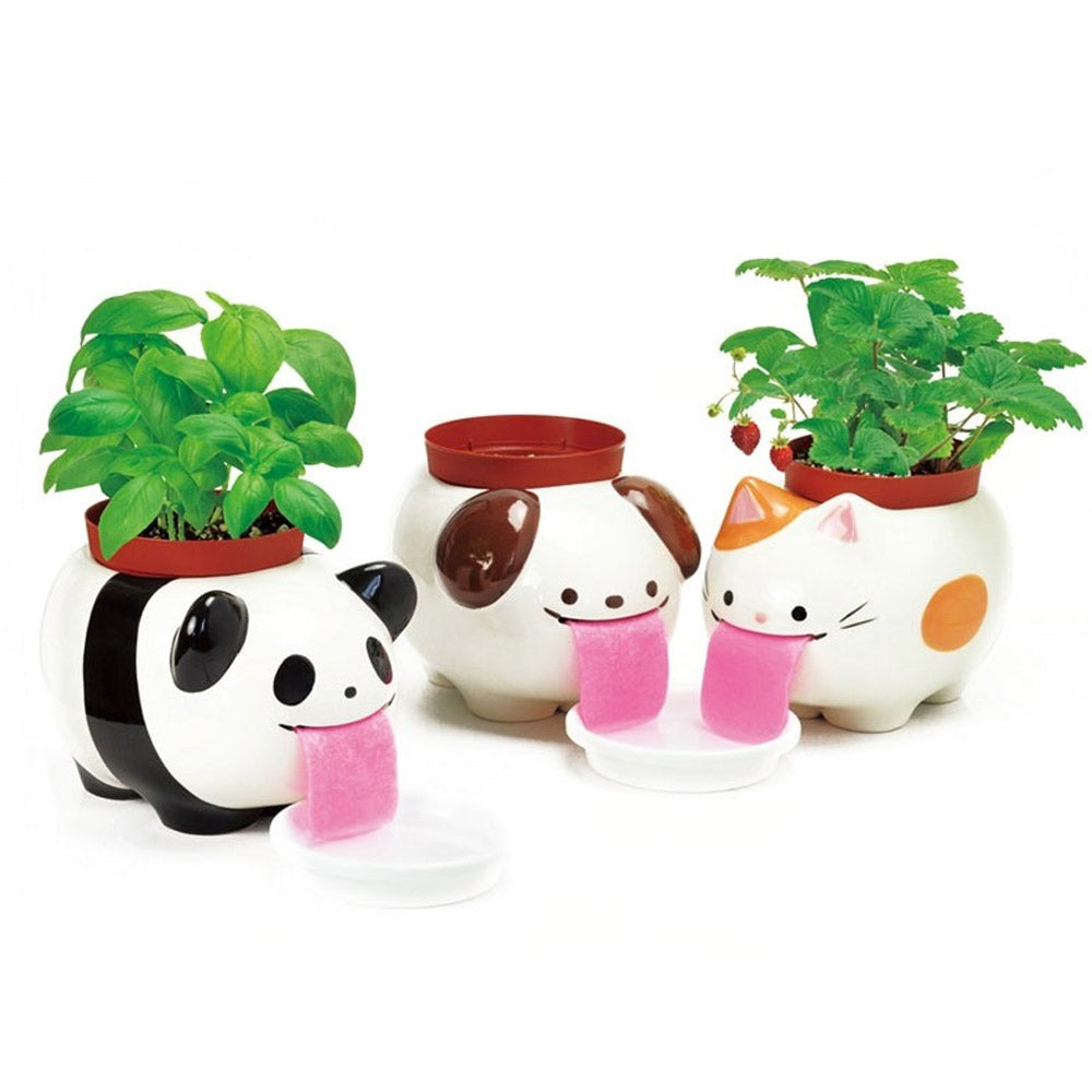 PAPA Peropon Planter Kit Self-Watering Tongue
