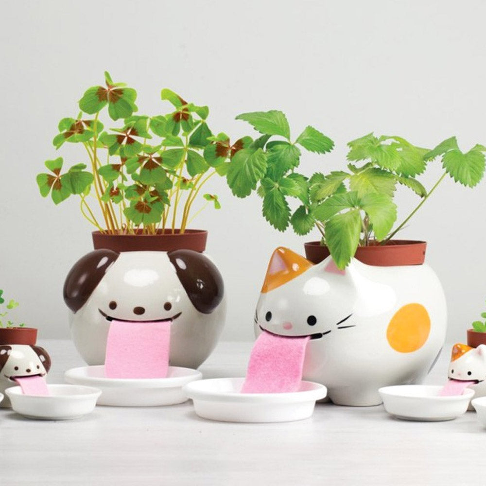 PAPA Peropon Planter Kit Self-Watering Tongue