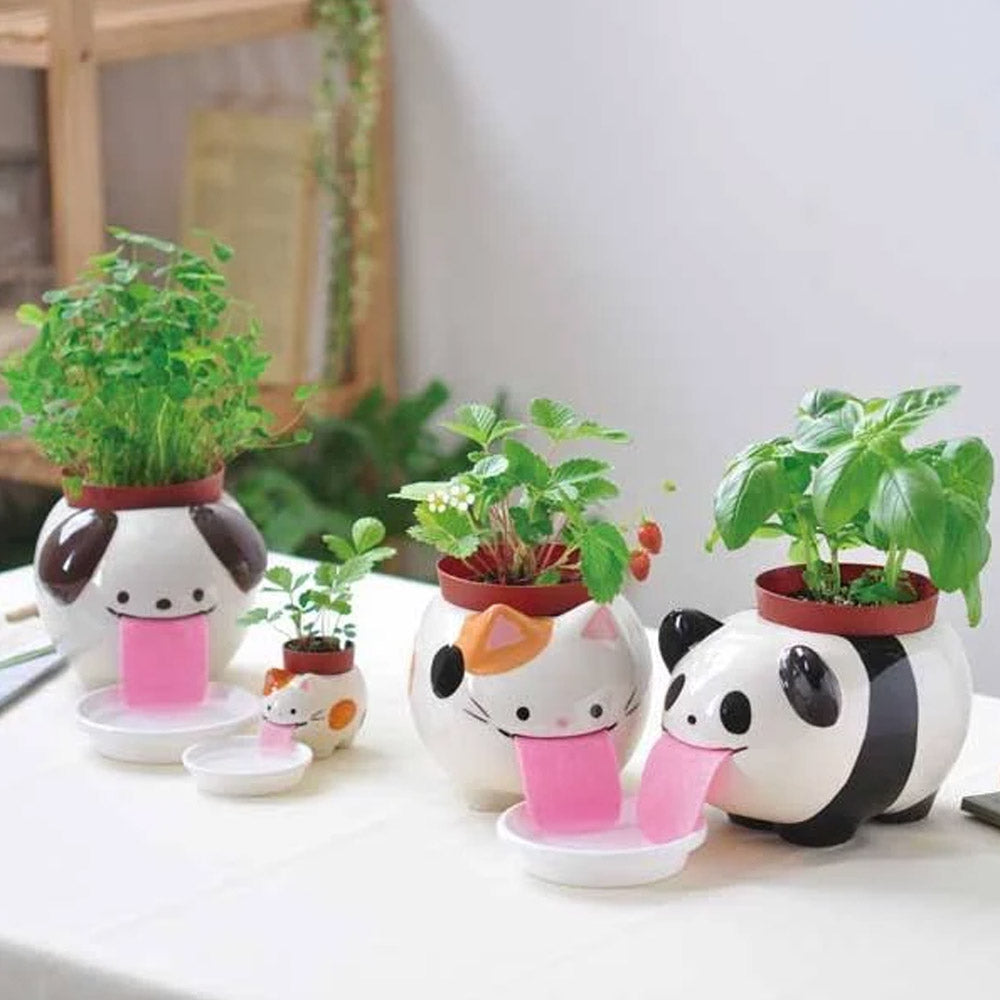 PAPA Peropon Planter Kit Self-Watering Tongue