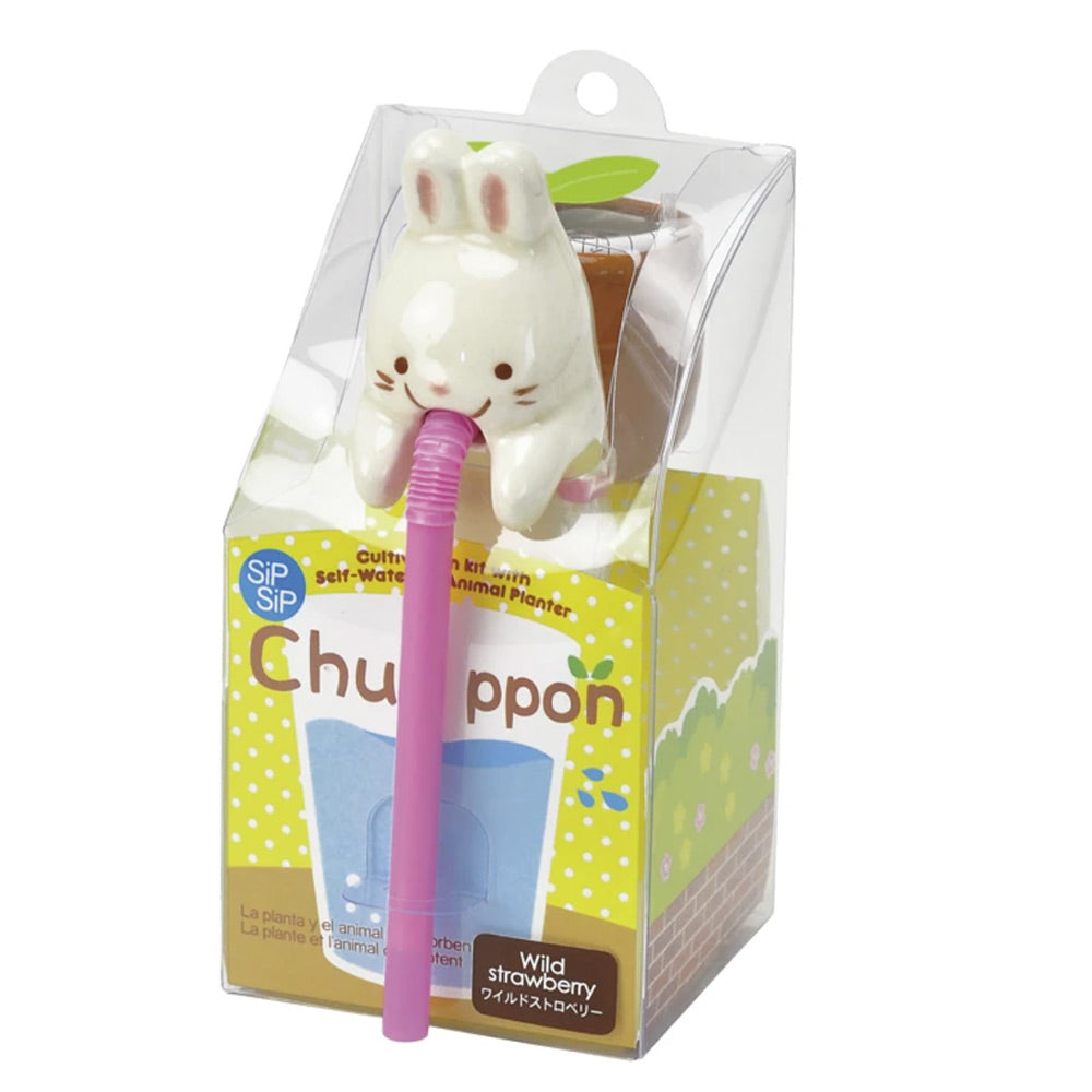 Chuppon Self Watering Cute Animals Planter