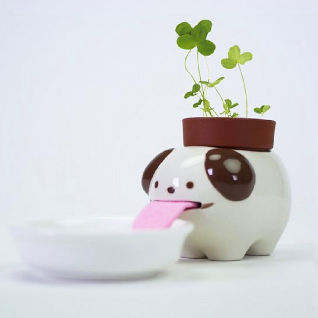 Peropon Planter Kit Self-Watering Tongue