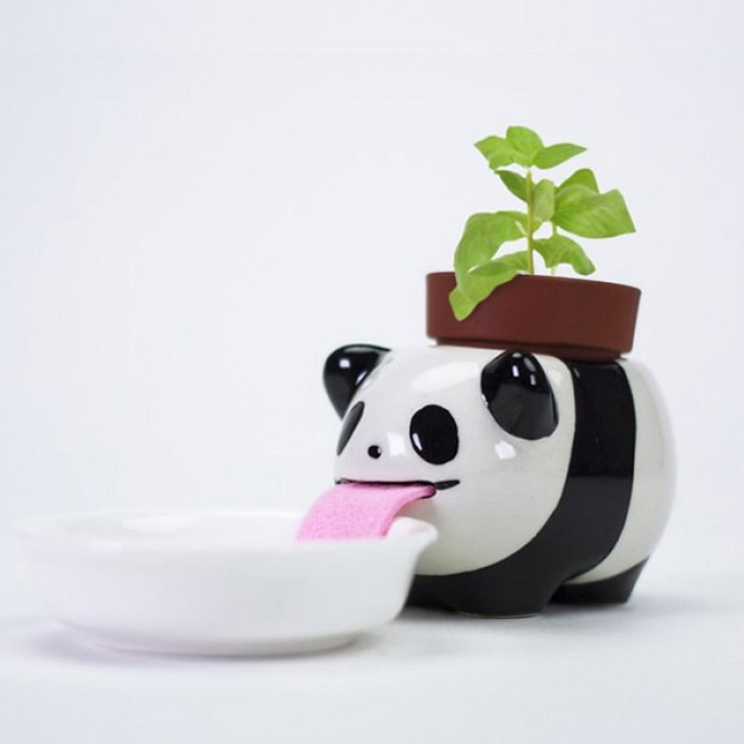 Peropon Planter Kit Self-Watering Tongue