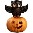 Bethan Lowe Owl on Jack O Lantern front