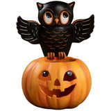 Bethan Lowe Owl on Jack O Lantern front