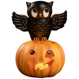 Bethan Lowe Owl on Jack O Lantern front lighted