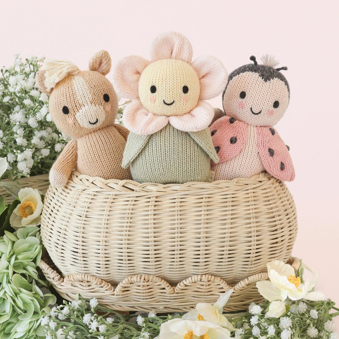 Cuddle Kind Baby Ladybug 9