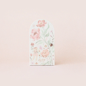 cuddle kind Tiny Charlotte the Dog