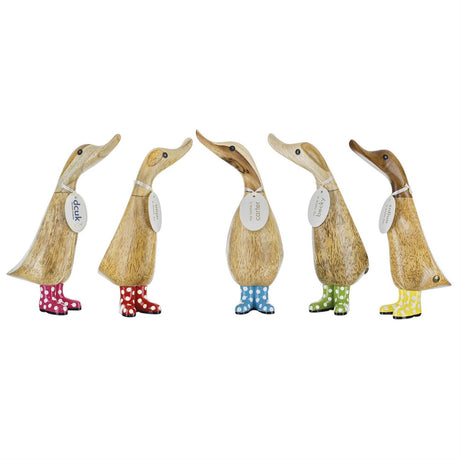 DCUK Spotty Boots Duckling set