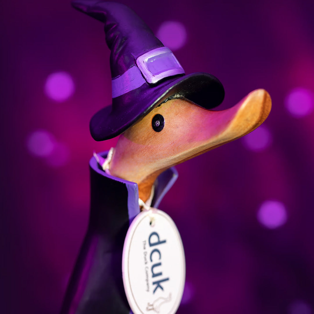 DCUK Magician Duckling 8.5" lifestyle