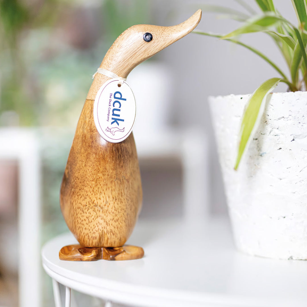 DCUK Natural Ducklings  lifestyle
