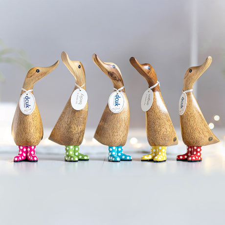DCUK Spotty Boots Duckling set lifestyle