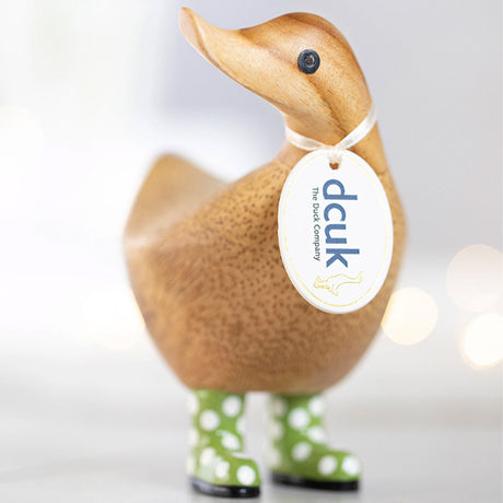 DCUK Spotty Boots Duckys green lifestyle
