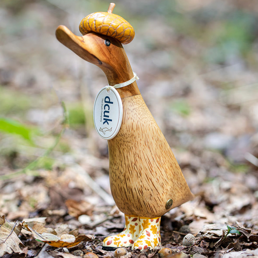 DCUK Woodland Folk Duckling ACORN lifestyle 2