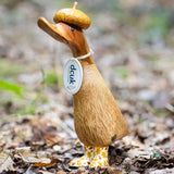 DCUK Woodland Folk Duckling ACORN lifestyle 2