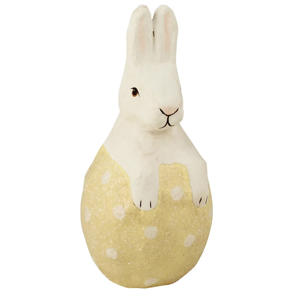 Little Bunny in Yellow Egg