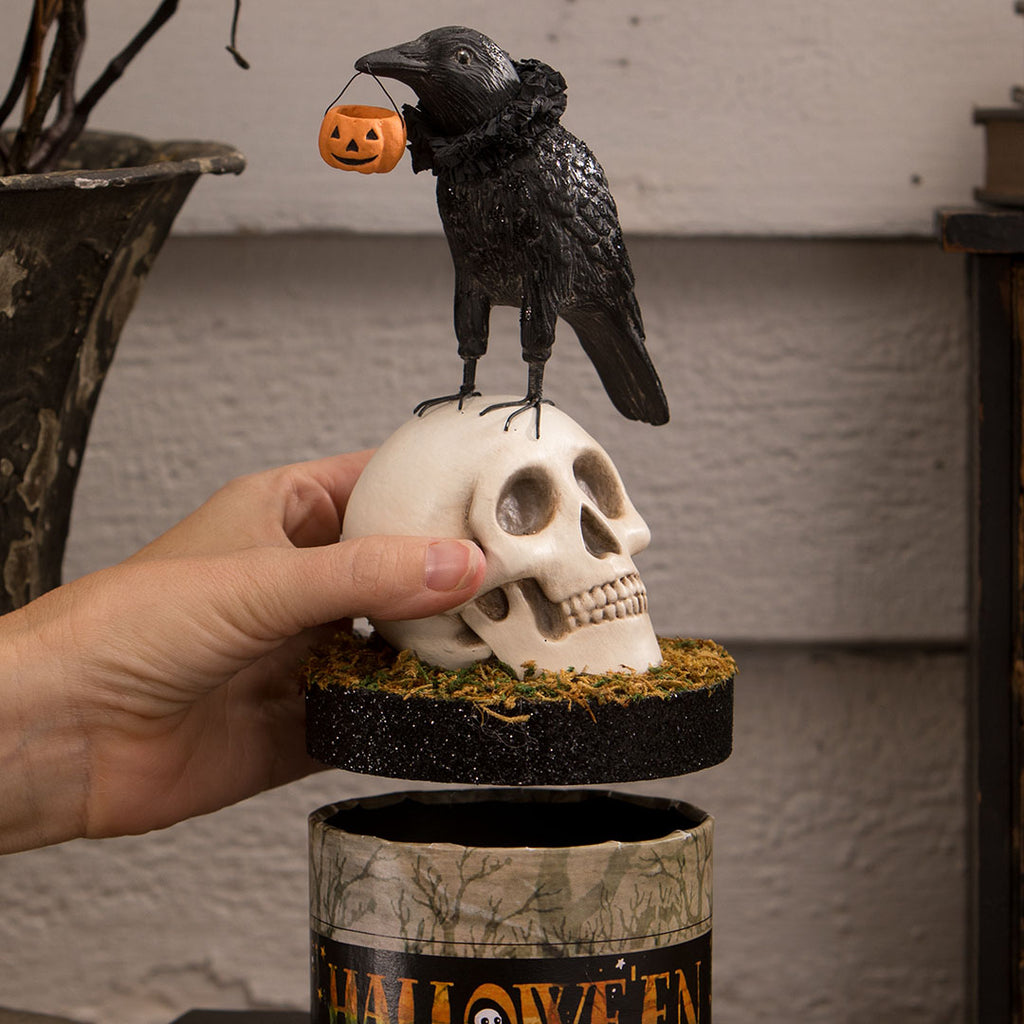 Bethany Lowe Crow and Skull on Box opened life style