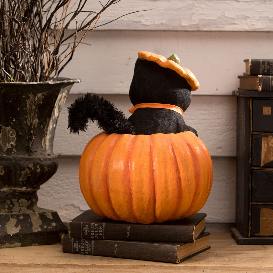 Kitty Cat in Jack - Thumbnail 3