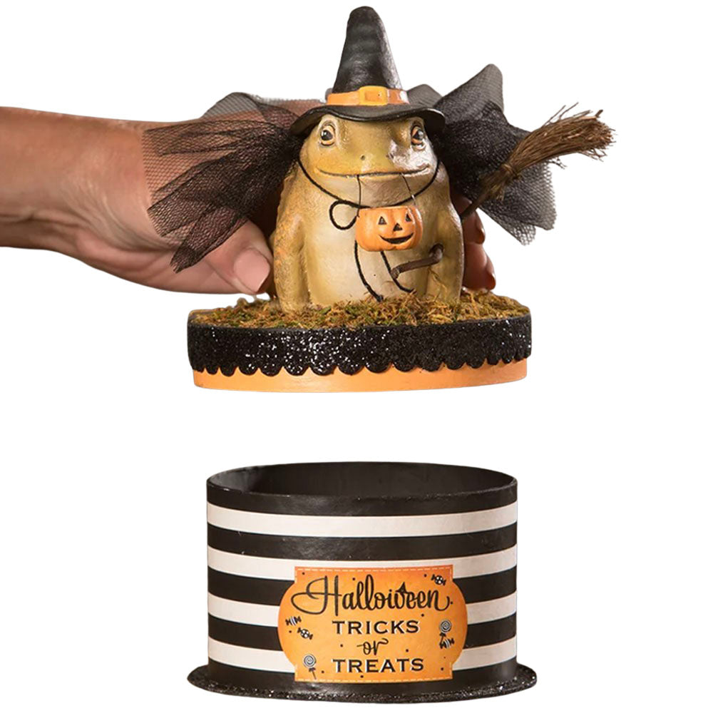 Witchy Toad On Box Halloween Decor by Bethany Lowe front opened