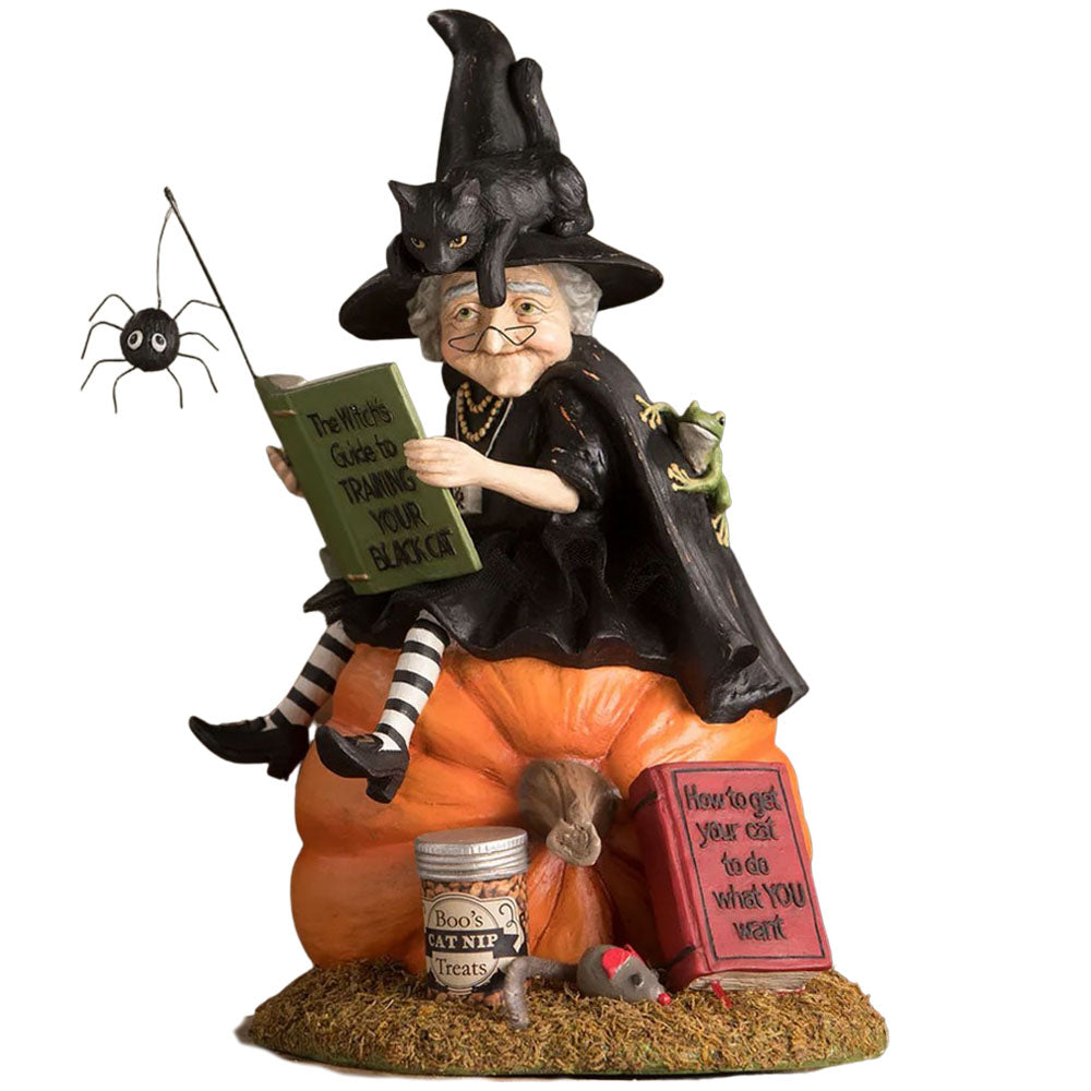 How to Train Your Black Cat Halloween Figurine by Bethany Lowe front