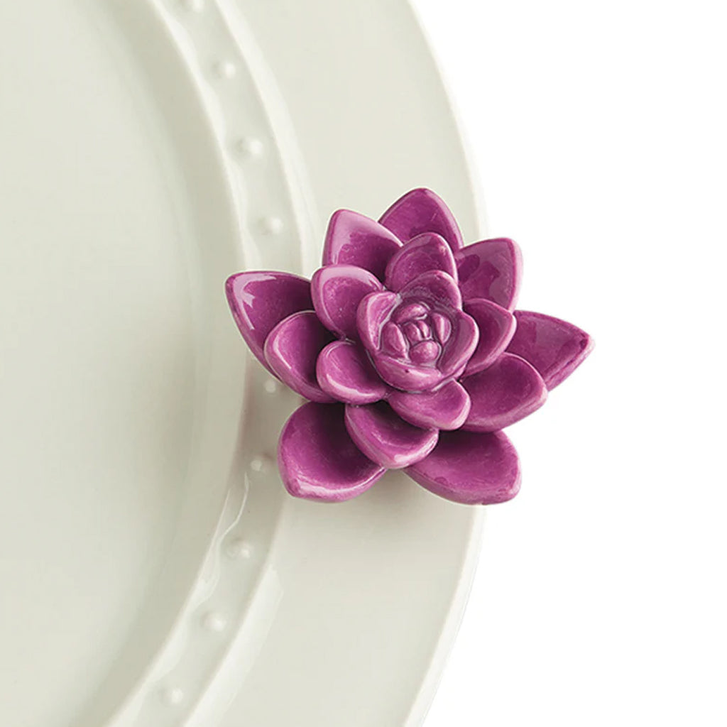 Nora Fleming Succulent Mini on the plate