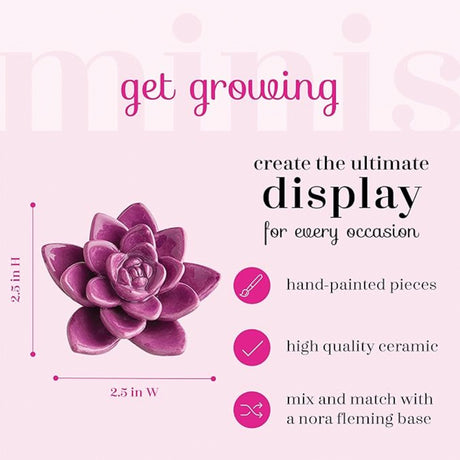 Nora Fleming Succulent Mini instructions 1