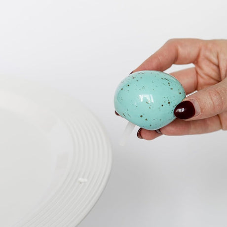 Nora Fleming Eggstra-Ordinary Robins Egg lifestyle close up
