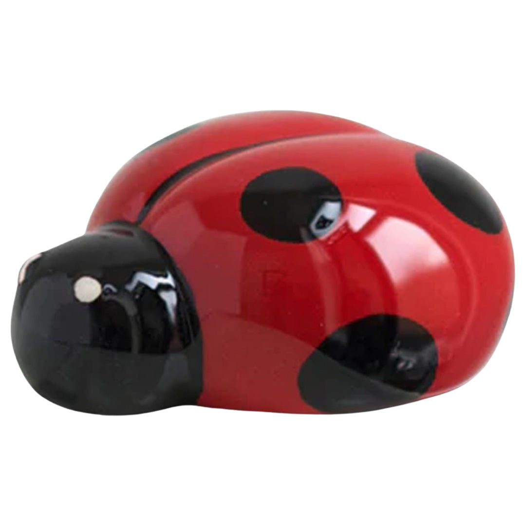 nora fleming ladybug front