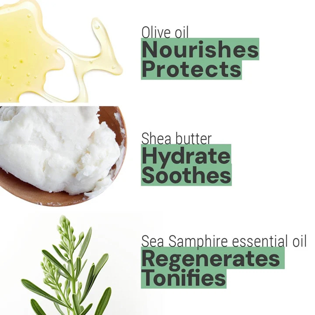 Cuddle Decor Hand Cream - Sea Samphire by PANIER DES SENS 4