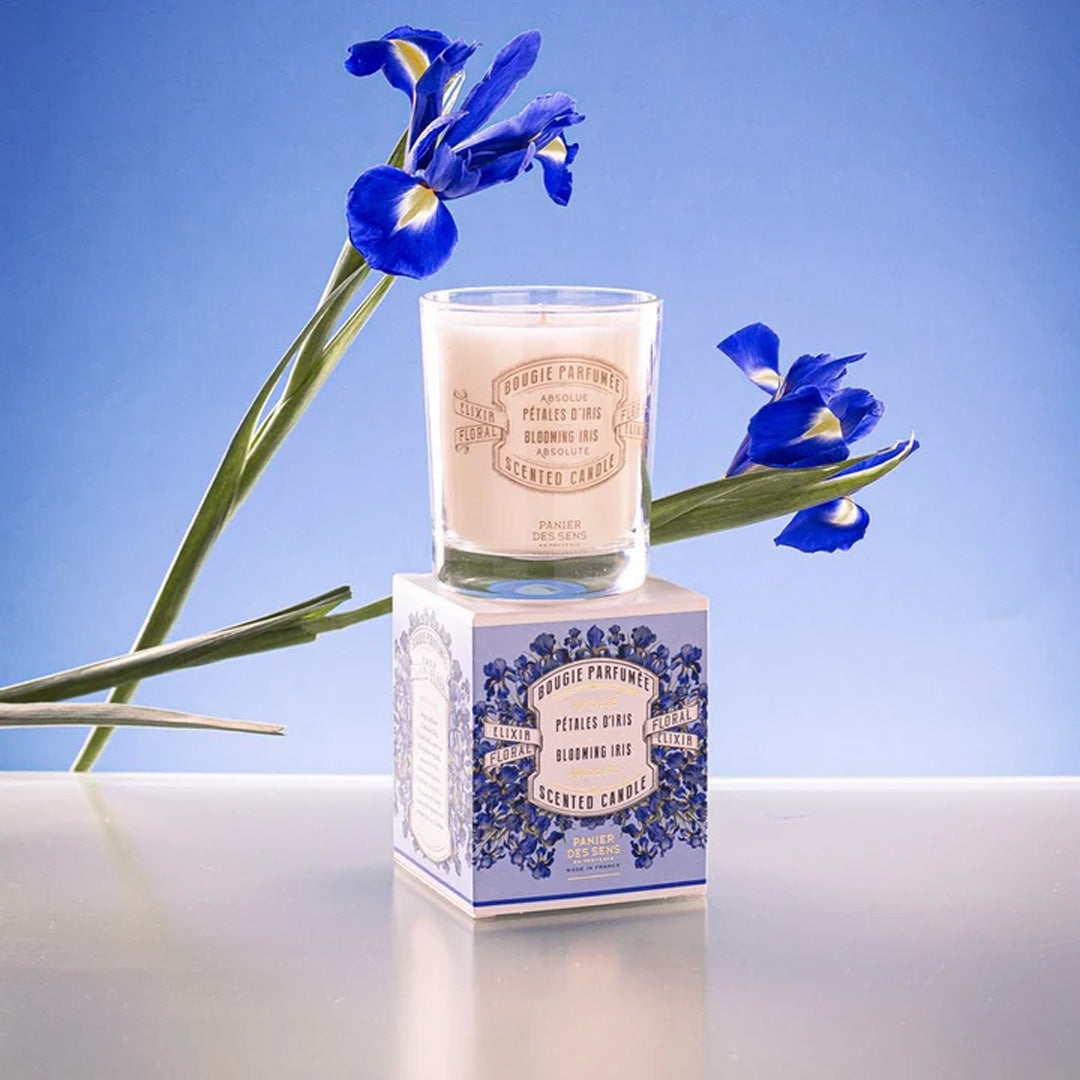 Cuddle Decor Scented Candle - Blooming Iris by PANIER DES SENS 2